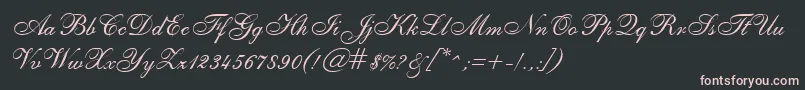 SheerEleganceRegular Font – Pink Fonts on Black Background