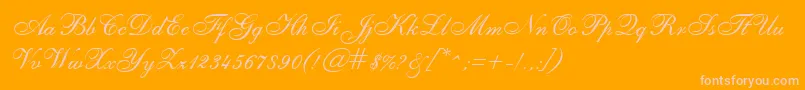 SheerEleganceRegular Font – Pink Fonts on Orange Background