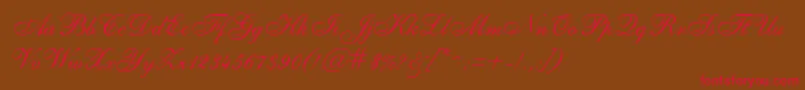 SheerEleganceRegular Font – Red Fonts on Brown Background