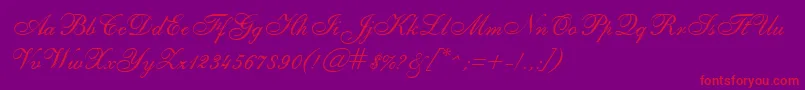 SheerEleganceRegular Font – Red Fonts on Purple Background