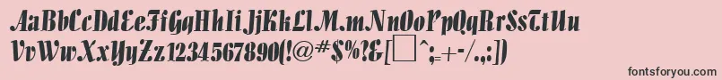 AlligatorRegularDb Font – Black Fonts on Pink Background