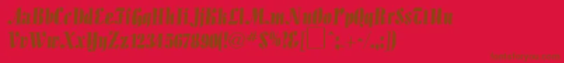 AlligatorRegularDb Font – Brown Fonts on Red Background