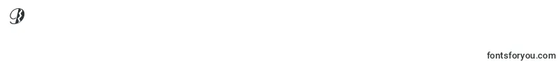 フォントMarqueeflashItalic – フォント数字9