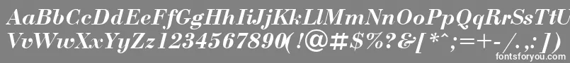 フォントBdn4 – 灰色の背景に白い文字