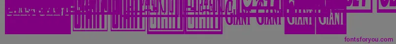 フォントObeygiantpostercondensed – 紫色のフォント、灰色の背景