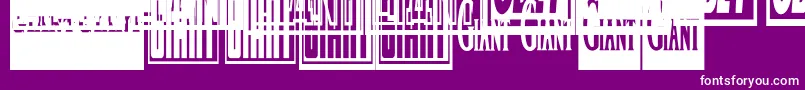 Obeygiantpostercondensed Font – White Fonts on Purple Background