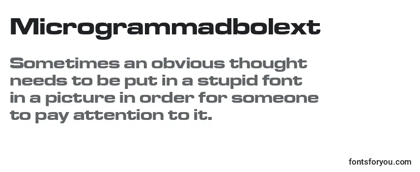 Review of the Microgrammadbolext Font