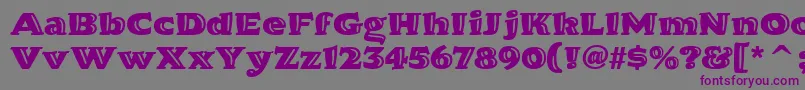 HornpypeitcTt Font – Purple Fonts on Gray Background