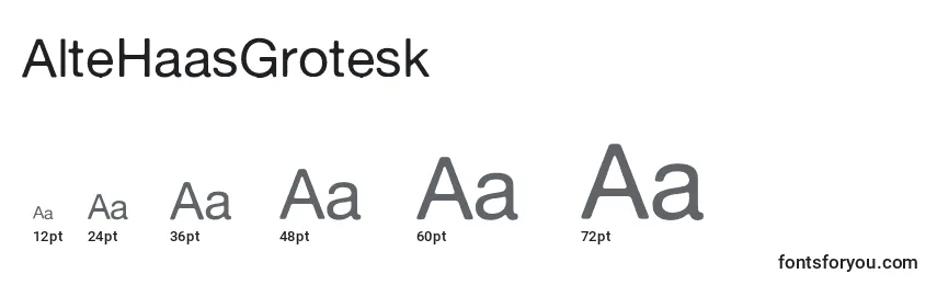 Размеры шрифта AlteHaasGrotesk