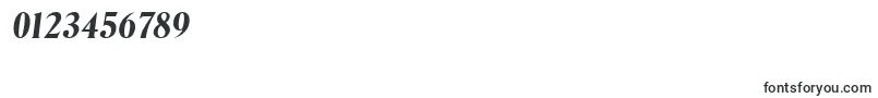 DenverBoldItalic Font – Fonts for Numbers and Digits