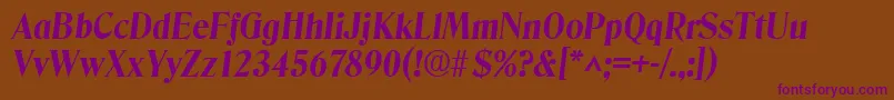 DenverBoldItalic Font – Purple Fonts on Brown Background