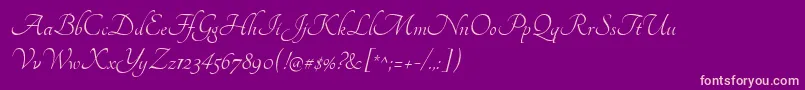 TangerineRegular Font – Pink Fonts on Purple Background