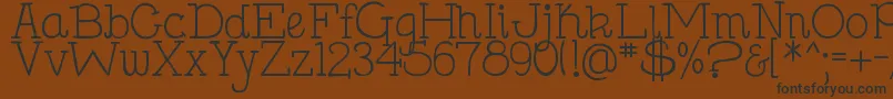 DjbHollySerif Font – Black Fonts on Brown Background