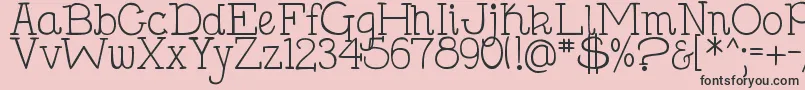 DjbHollySerif Font – Black Fonts on Pink Background