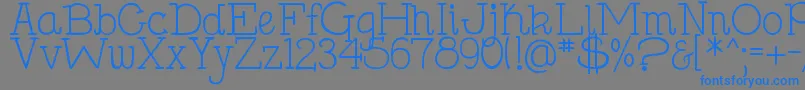 DjbHollySerif Font – Blue Fonts on Gray Background