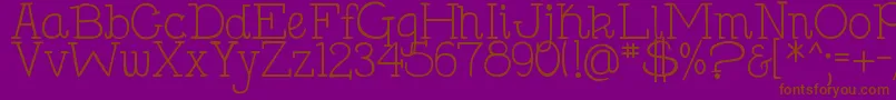 DjbHollySerif Font – Brown Fonts on Purple Background