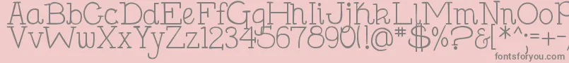 DjbHollySerif Font – Gray Fonts on Pink Background