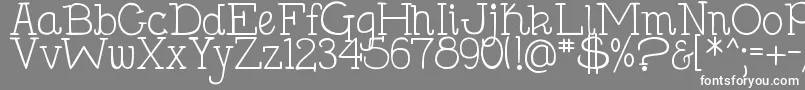 DjbHollySerif Font – White Fonts on Gray Background