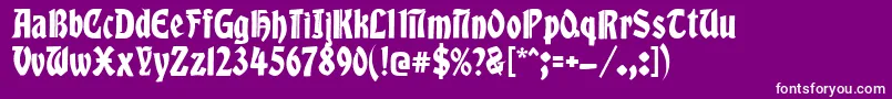 Weitere Informationen zur Globus2-Schriftart Globus2-Schriftart – Weiße Schriften auf violettem Hintergrund