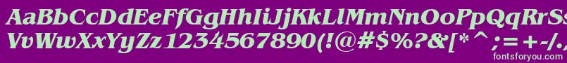 BenguiatBoldItalicBt Font – Green Fonts on Purple Background