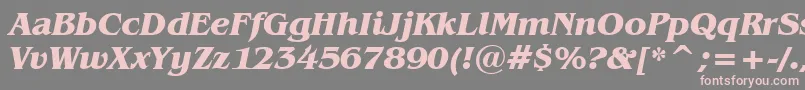 BenguiatBoldItalicBt Font – Pink Fonts on Gray Background