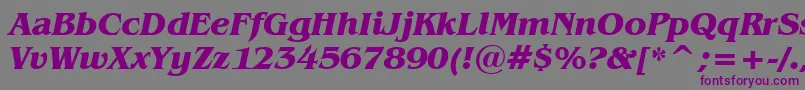 BenguiatBoldItalicBt Font – Purple Fonts on Gray Background