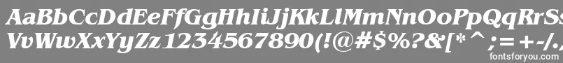 フォントBenguiatBoldItalicBt – 灰色の背景に白い文字