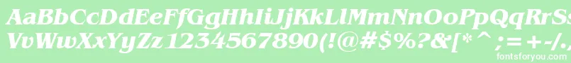 BenguiatBoldItalicBt Font – White Fonts on Green Background