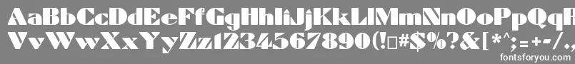 フォントDynamiccp – 灰色の背景に白い文字