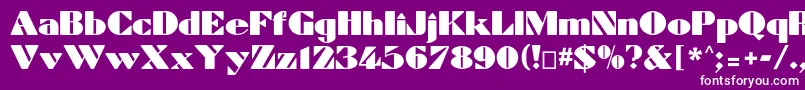 Dynamiccp Font – White Fonts on Purple Background
