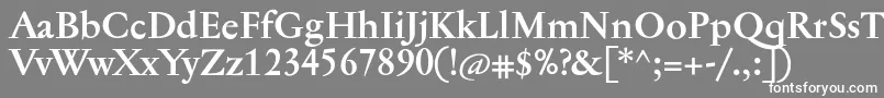 フォントJannontextmedBold – 灰色の背景に白い文字