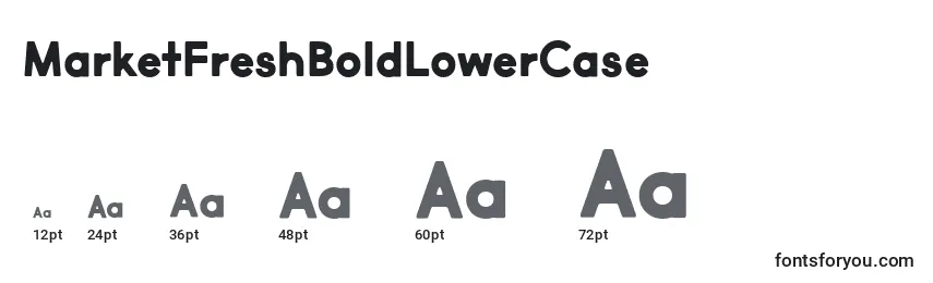MarketFreshBoldLowerCase font sizes