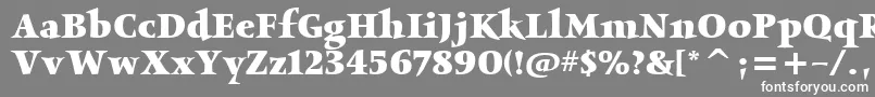 ObeliskitcTtBold Font – White Fonts on Gray Background