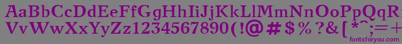 フォントNewJournalBold – 紫色のフォント、灰色の背景