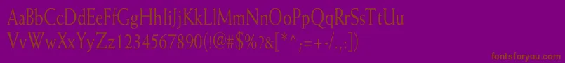 WeissCn Font – Brown Fonts on Purple Background