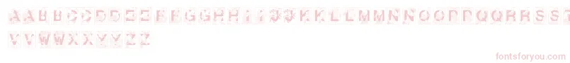 DoverBirdsFilled Font – Pink Fonts on White Background