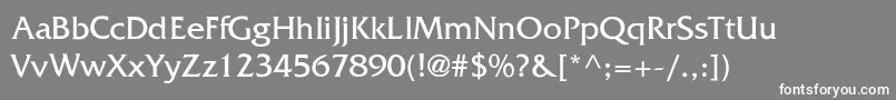 FrizquadrataThin Font – White Fonts on Gray Background