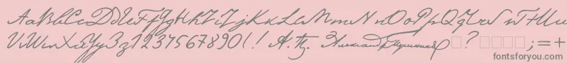 Pushkin-Schriftart – Graue Schriften auf rosa Hintergrund