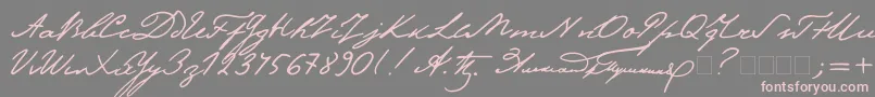 Pushkin-Schriftart – Rosa Schriften auf grauem Hintergrund