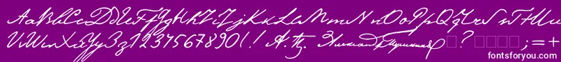 Pushkin Font – White Fonts on Purple Background