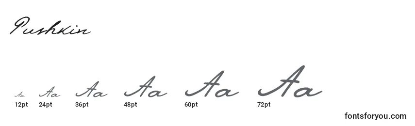 Размеры шрифта Pushkin