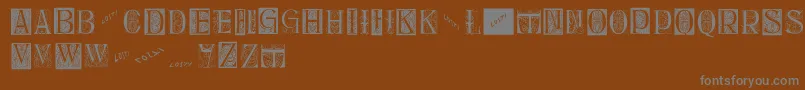 Delitschinitialen Font – Gray Fonts on Brown Background