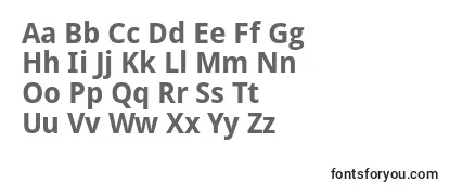 Droidsans ffy Font