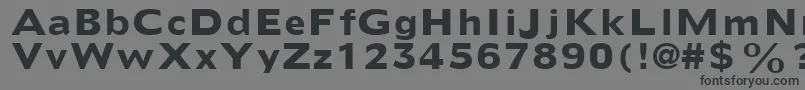 ExtensSsiBold Font – Black Fonts on Gray Background