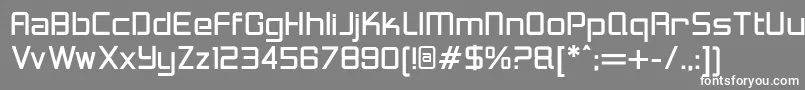 LoganfiveRegular Font – White Fonts on Gray Background