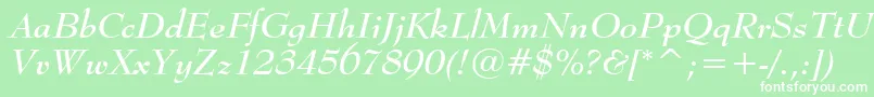 BernhardModernBoldItalicBt Font – White Fonts on Green Background
