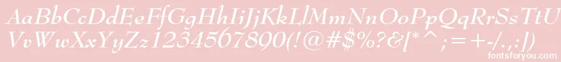 BernhardModernBoldItalicBt Font – White Fonts on Pink Background