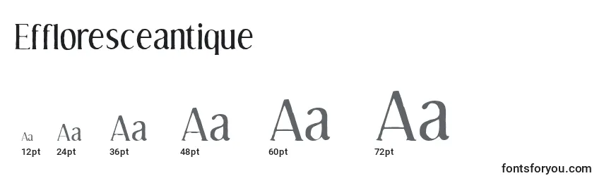 Размеры шрифта Effloresceantique