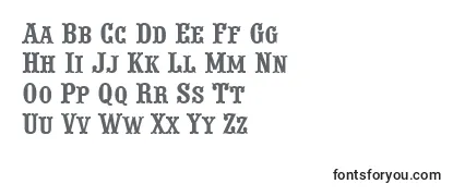 Review of the APresentumcpsnr Font