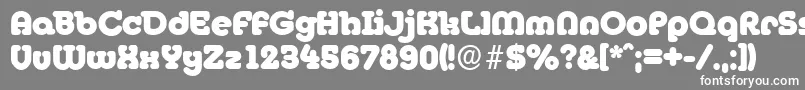 MexicoserialHeavyRegular Font – White Fonts on Gray Background